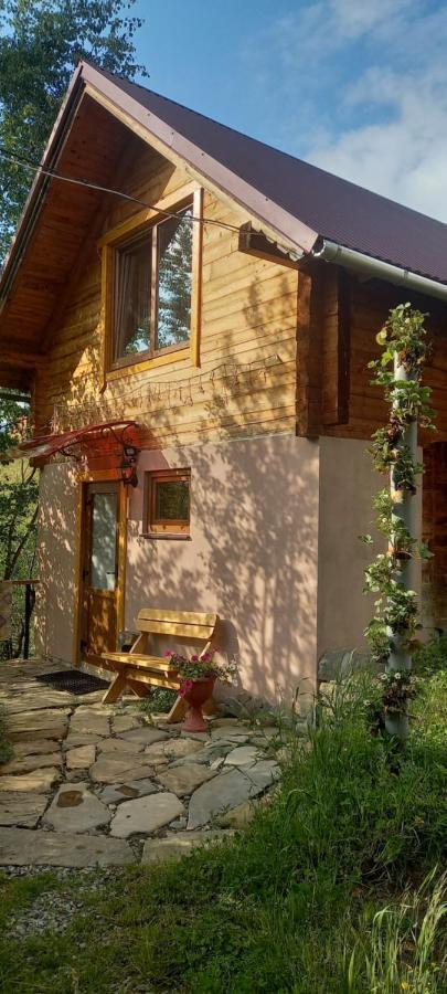 Марічка Marichka Vila Vorokhta Exterior foto